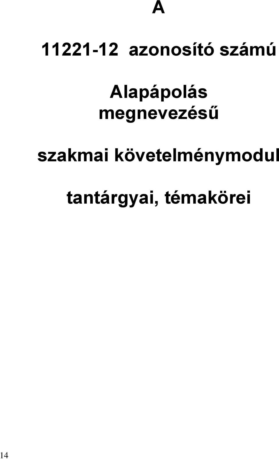 megnevezésű szakmai