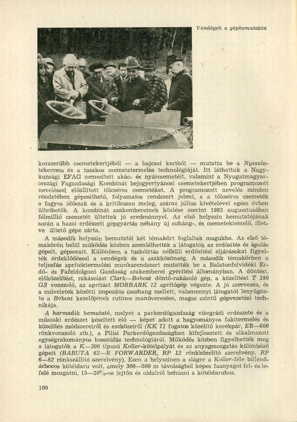 csemetéket.