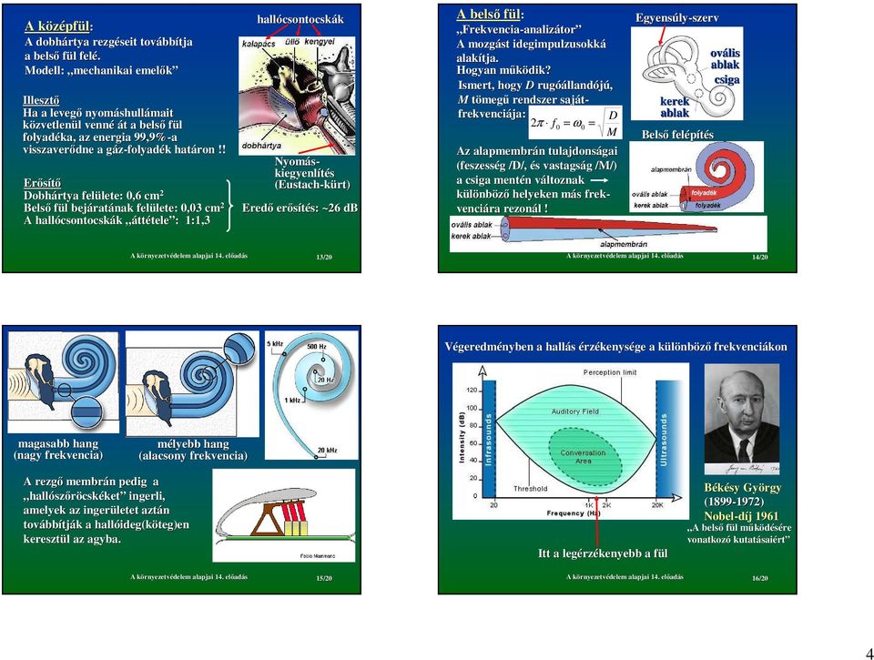 ! Erısítı Dobhártya felülete:,6 cm Belsı fül bejáratának felülete:,3 cm A hallócsontocskák áttétele : :,3 hallócsontocskák Nyomás- kiegyenlítés (Eustach-kürt) Eredı erısítés: ~6 db A belsı fül: