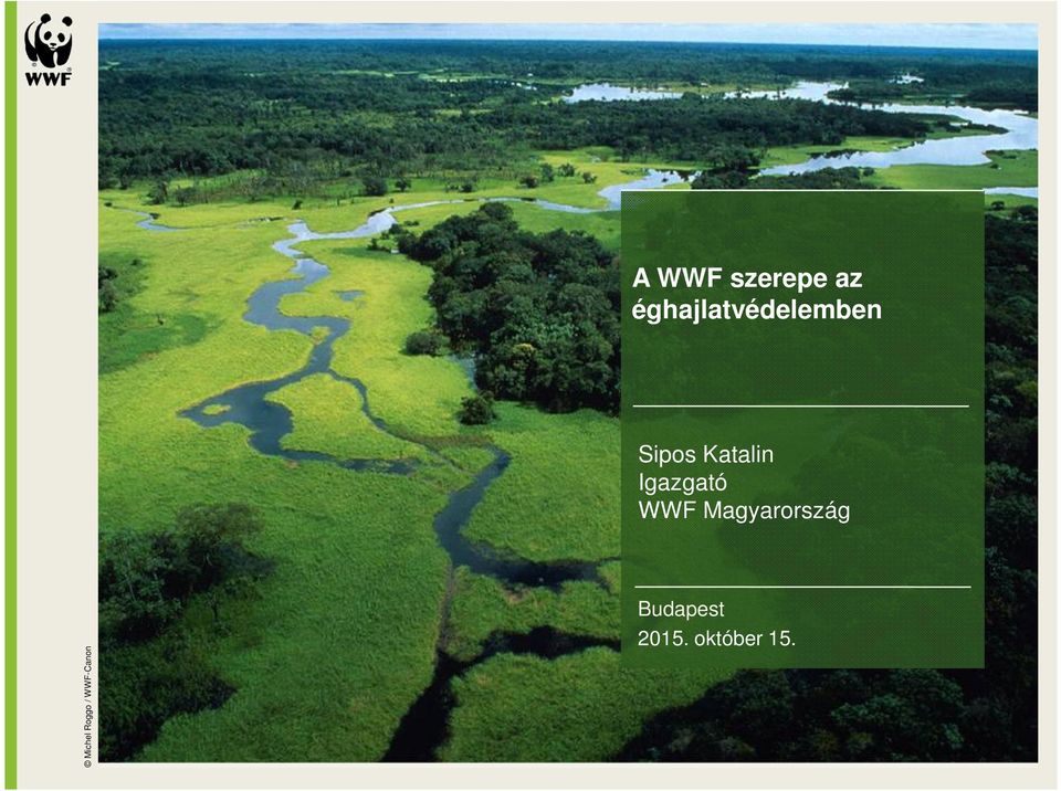 Katalin Igazgató WWF