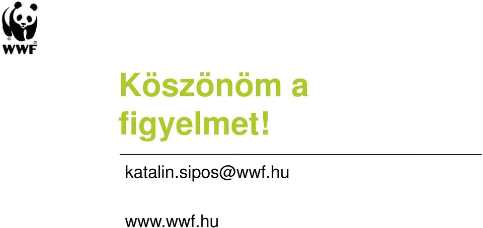 katalin.