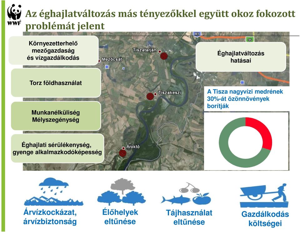 medrének 30%-át özönnövények borítják Éghajlati sérülékenység, gyenge alkalmazkodóképesség Árvízkockázat,