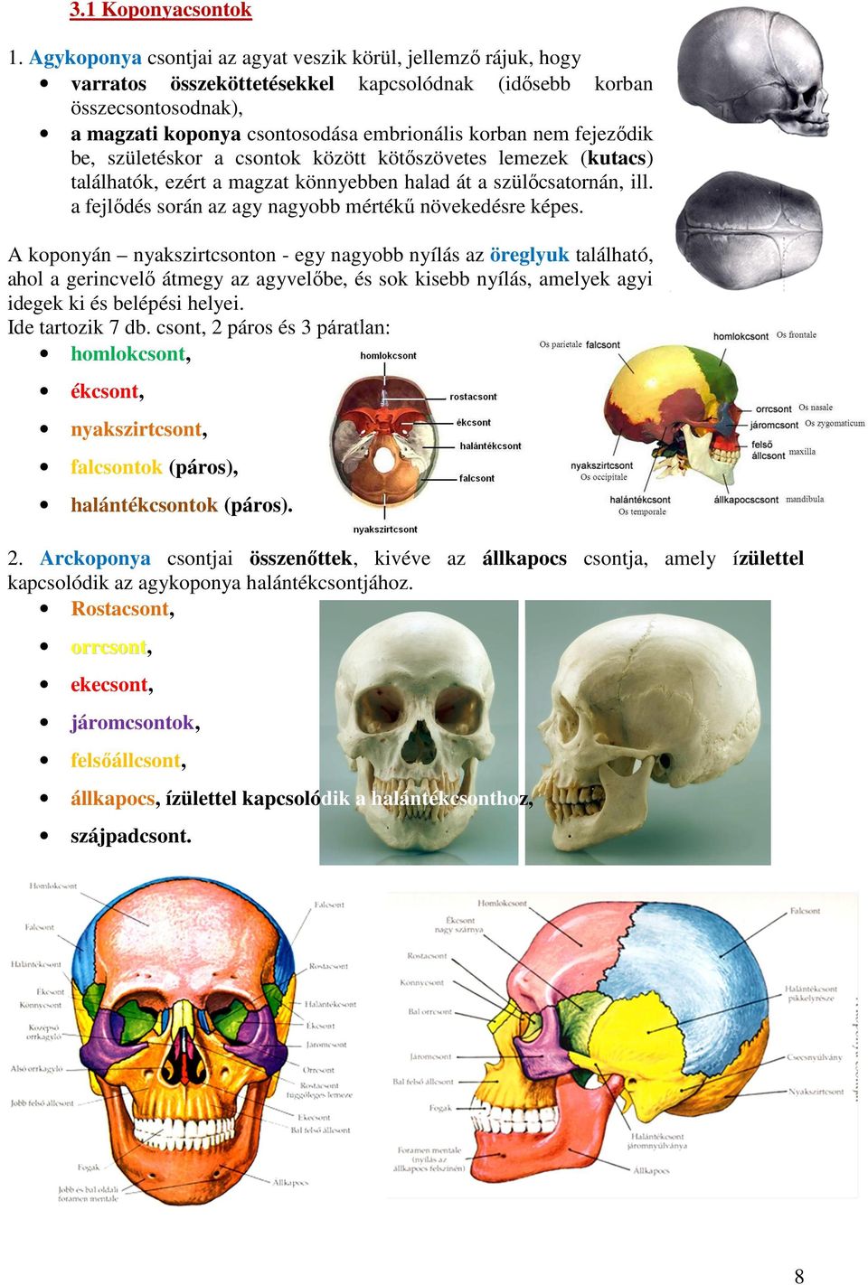 fejeződik be, születéskor a csontok között kötőszövetes lemezek (kutacs) találhatók, ezért a magzat könnyebben halad át a szülőcsatornán, ill.