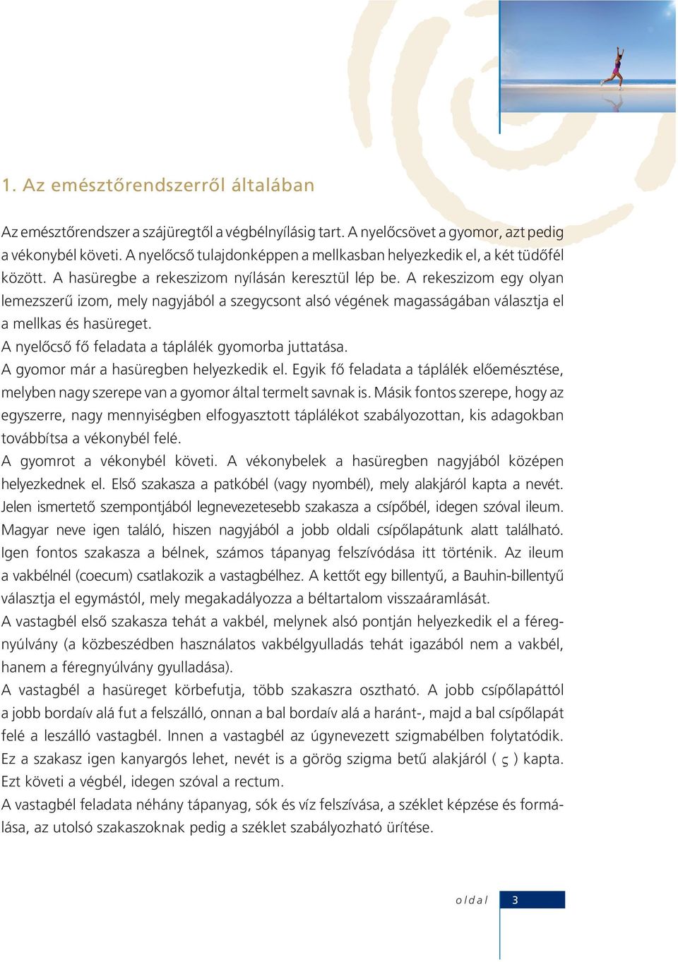 A rekeszizom egy olyan lemezszerû izom, mely nagyjából a szegycsont alsó végének magasságában választja el a mellkas és hasüreget. A nyelôcsô fô feladata a táplálék gyomorba juttatása.