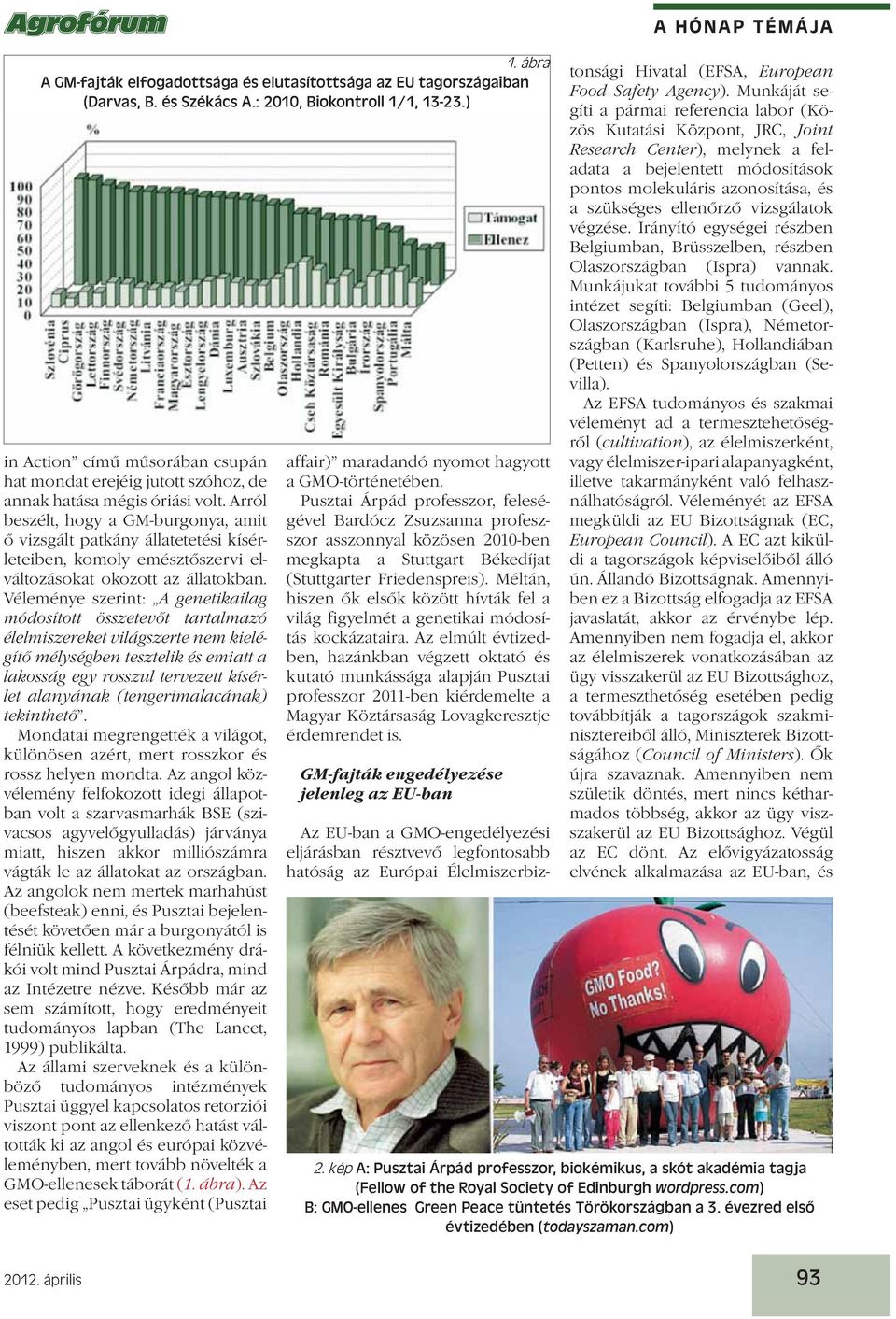 Arról beszélt, hogy a GM-burgonya, amit ő vizsgált patkány állatetetési kísérleteiben, komoly emésztőszervi elváltozásokat okozott az állatokban.
