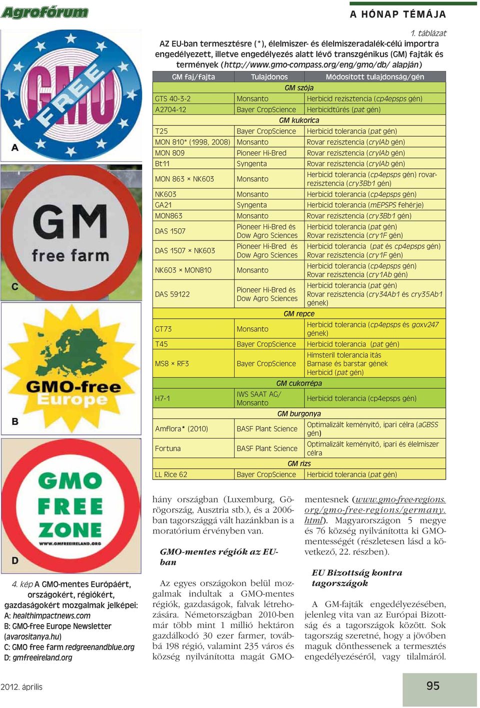 kukorica T25 Bayer CropScience Herbicid tolerancia (pat gén) MON 810* (1998, 2008) Monsanto Rovar rezisztencia (crylab gén) MON 809 Pioneer Hi-Bred Rovar rezisztencia (crylab gén) Bt11 Syngenta Rovar