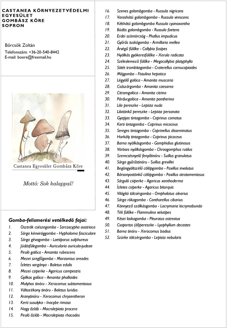 Júdásfülegomba - Auricularia auricula-judeae 5. Piruló galóca - Amanita rubescens 6. Mezei szegfűgomba - Marasmius oreades 7. Ízletes vargánya - Boletus edulis 8.