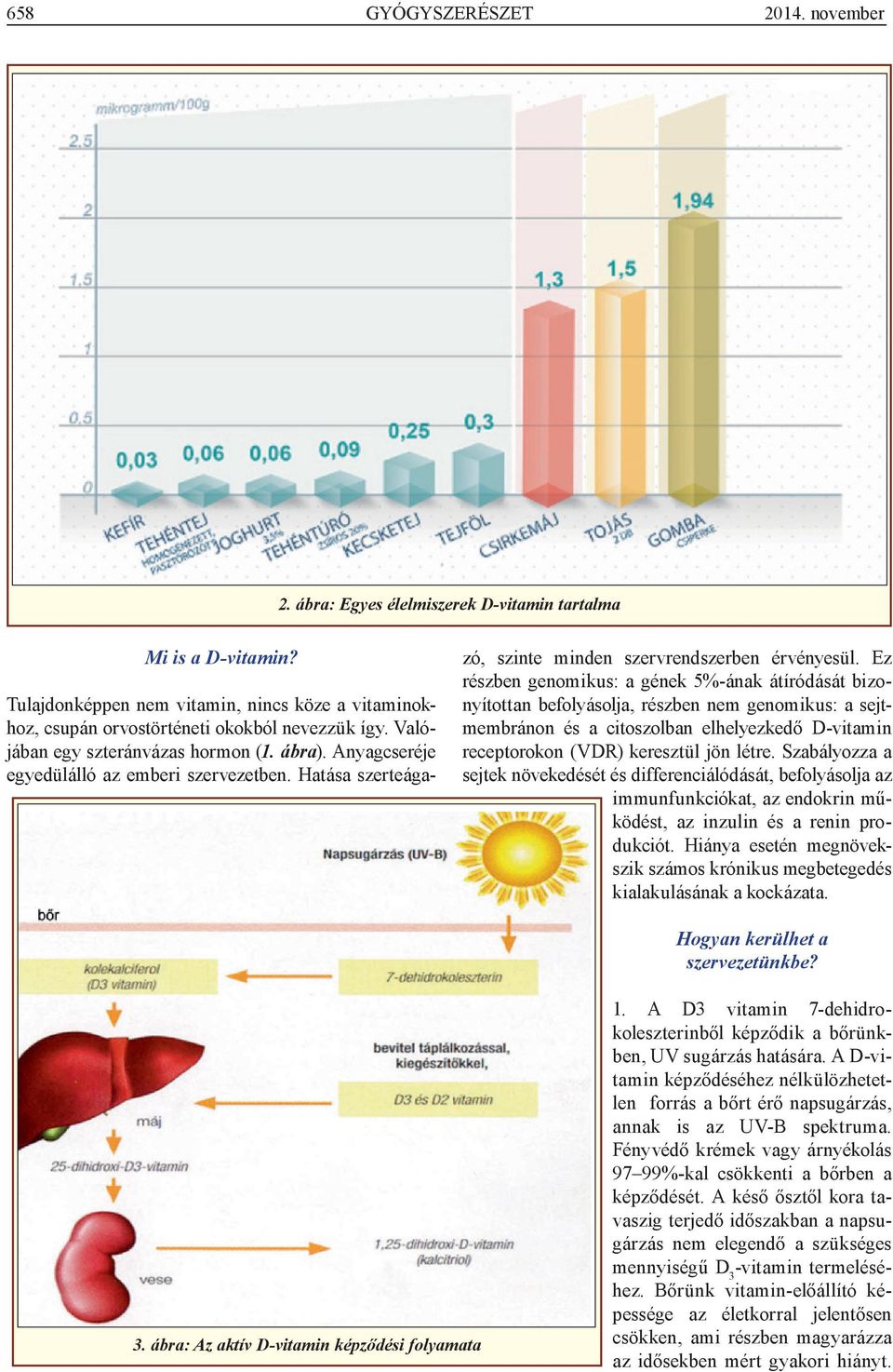 Ez részben genomikus: a gének 5%-ának átíródását bizonyítottan befolyásolja, részben nem genomikus: a sejtmembránon és a citoszolban elhelyezkedő D-vitamin receptorokon (VDR) keresztül jön létre.