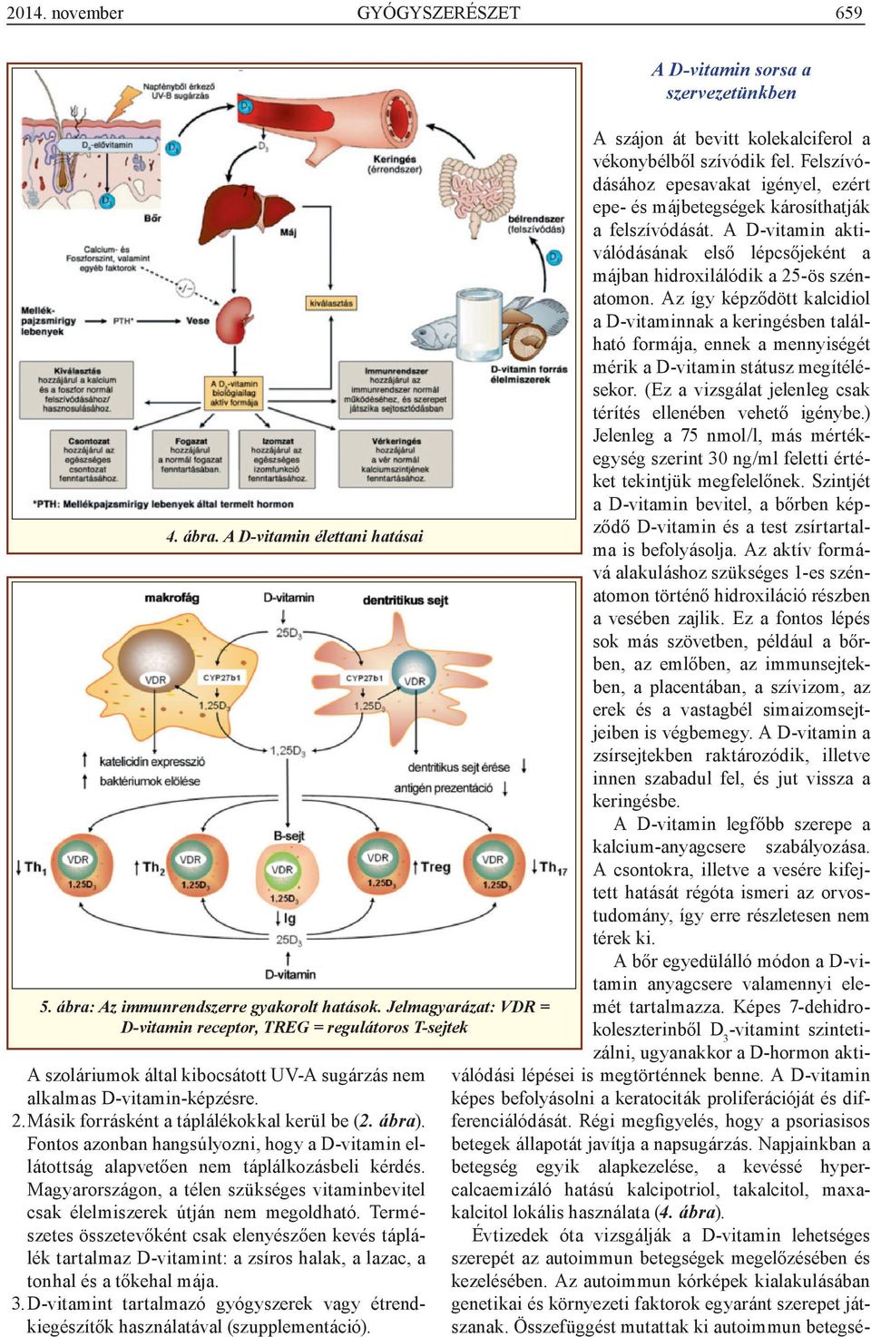 ábra). Fontos azonban hangsúlyozni, hogy a D-vitamin ellátottság alapvetően nem táplálkozásbeli kérdés. Magyarországon, a télen szükséges vitaminbevitel csak élelmiszerek útján nem megoldható.