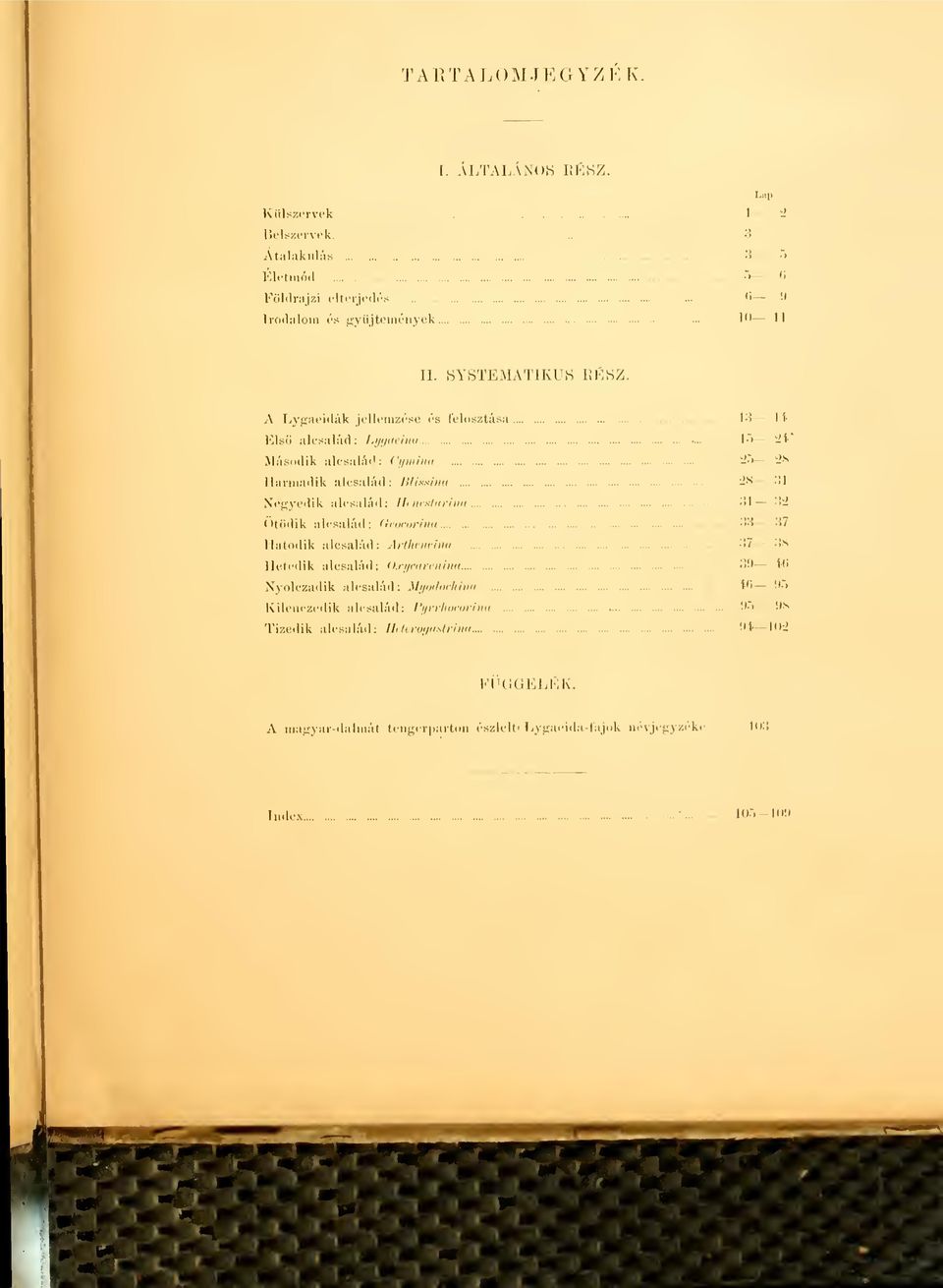 sxiiki Negyedik alcsalád; IhiienUirina Ötödik alcsalád: (Ivocoriiia Hatodik alcsalád;.irtluiniiiii, Hetedik alcsalád; O.