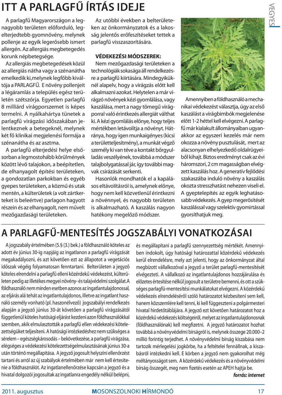 E növény pollenjeit a légáramlás a település egész területén szétszórja. Egyetlen parlagfű 8 milliárd virágporszemet is képes termelni.