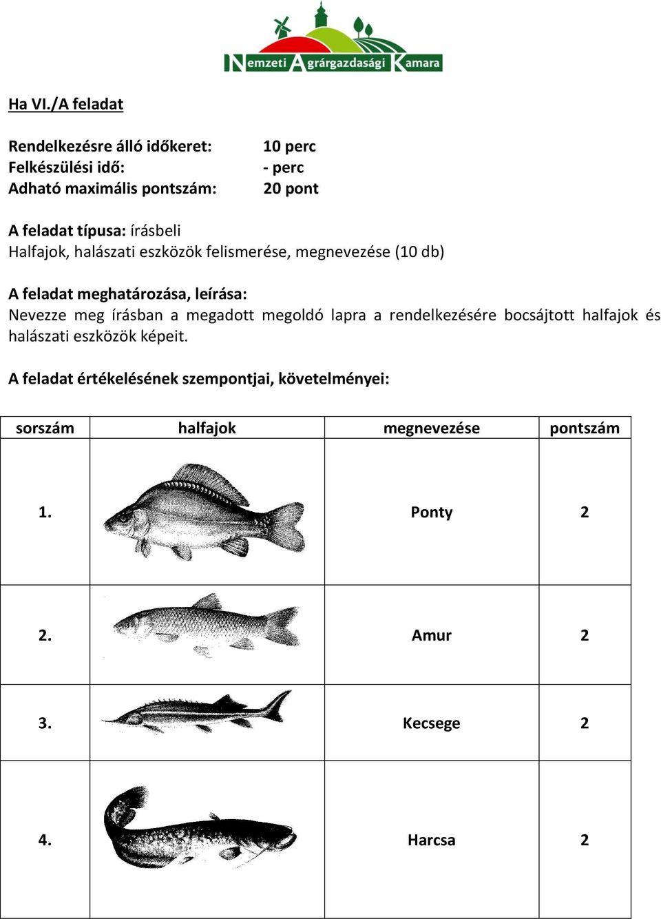 megnevezése (10 db) A feladat meghatározása, leírása: Nevezze meg írásban a megadott megoldó lapra a