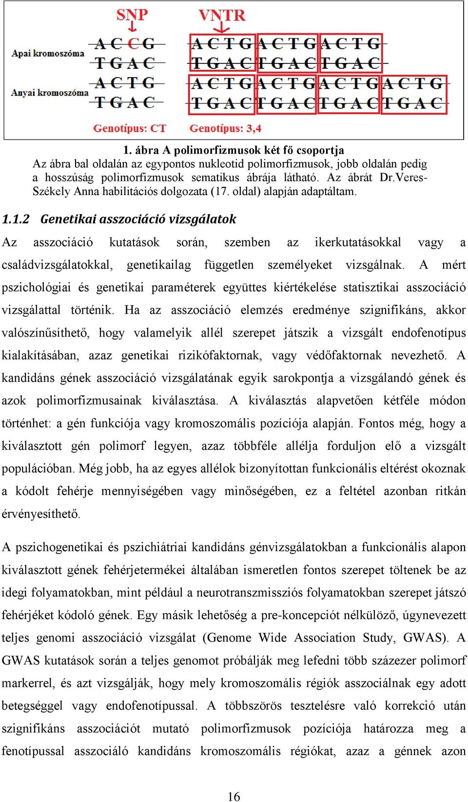 . oldal) alapján adaptáltam. 1.