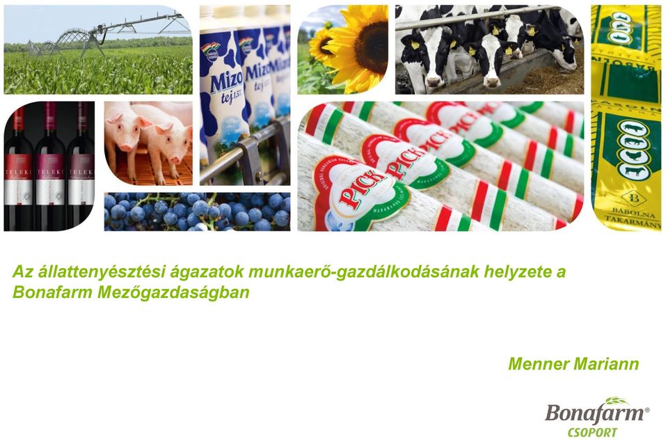 munkaerő-gazdálkodásának