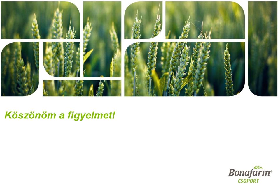 figyelmet!