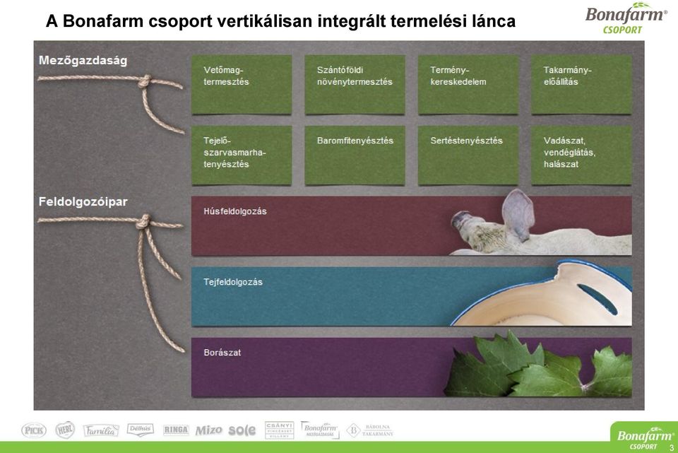 vertikálisan