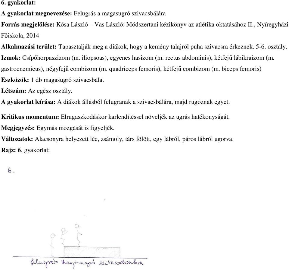 rectus abdominis), kétfejű lábikraizom (m. gastrocnemicus), négyfejű combizom (m. quadriceps femoris), kétfejű combizom (m. biceps femoris) Eszközök: 1 db magasugró szivacsbála.