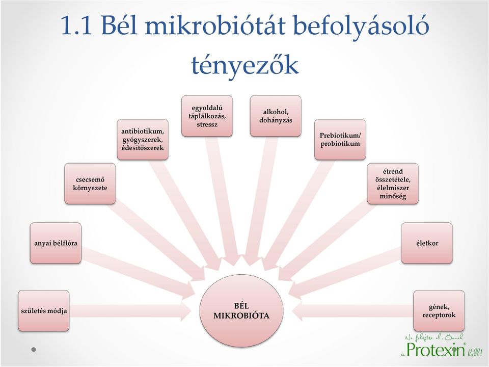 dohányzás Prebiotikum/ probiotikum csecsemő környezete étrend összetétele,