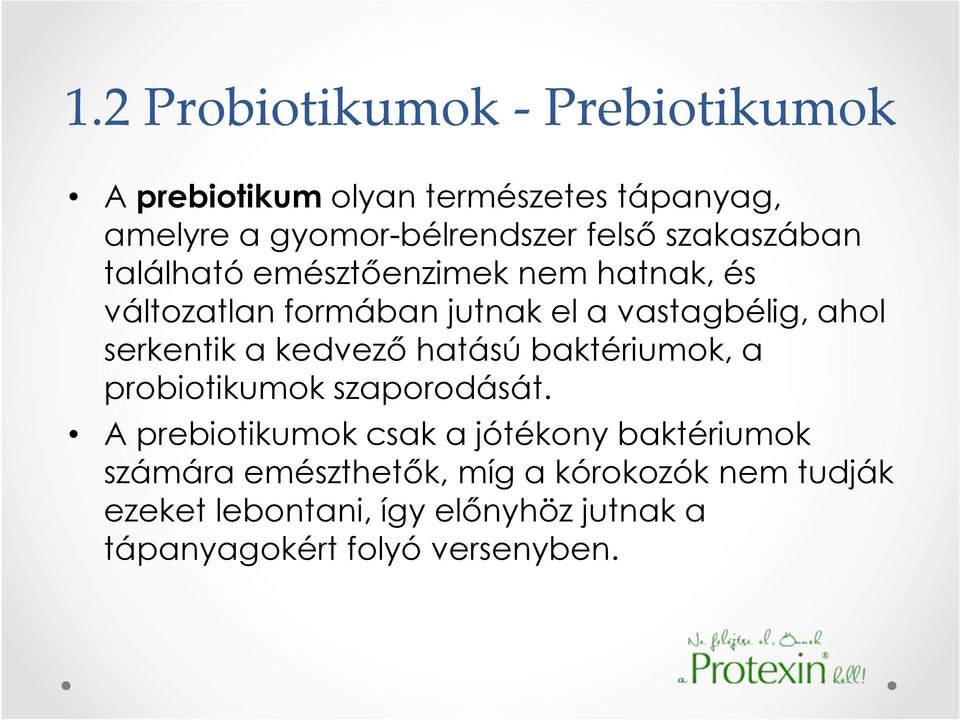 vastagbélig, ahol serkentik a kedvezı hatású baktériumok, a probiotikumok szaporodását.