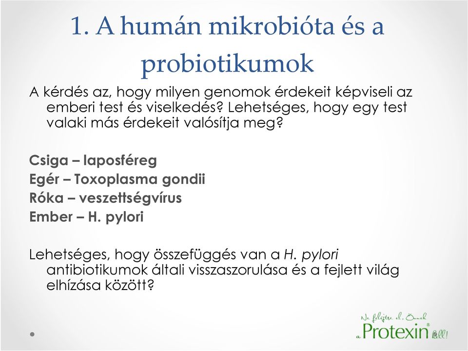 Csiga laposféreg Egér Toxoplasma gondii Róka veszettségvírus Ember H.