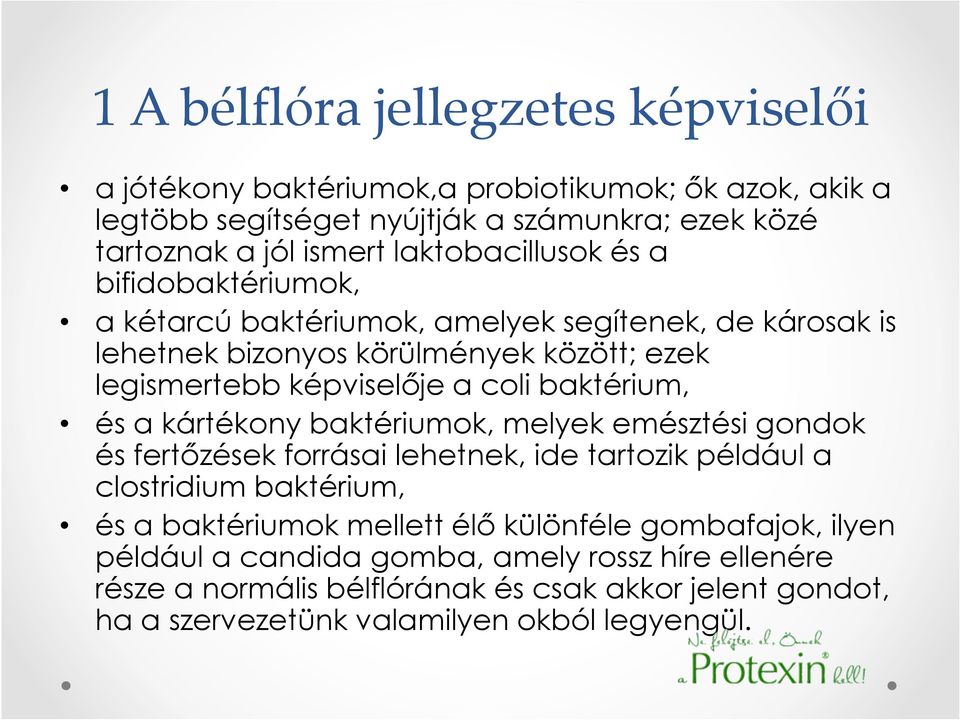 baktérium, és a kártékony baktériumok, melyek emésztési gondok és fertızések forrásai lehetnek, ide tartozik például a clostridium baktérium, és a baktériumok mellett élı