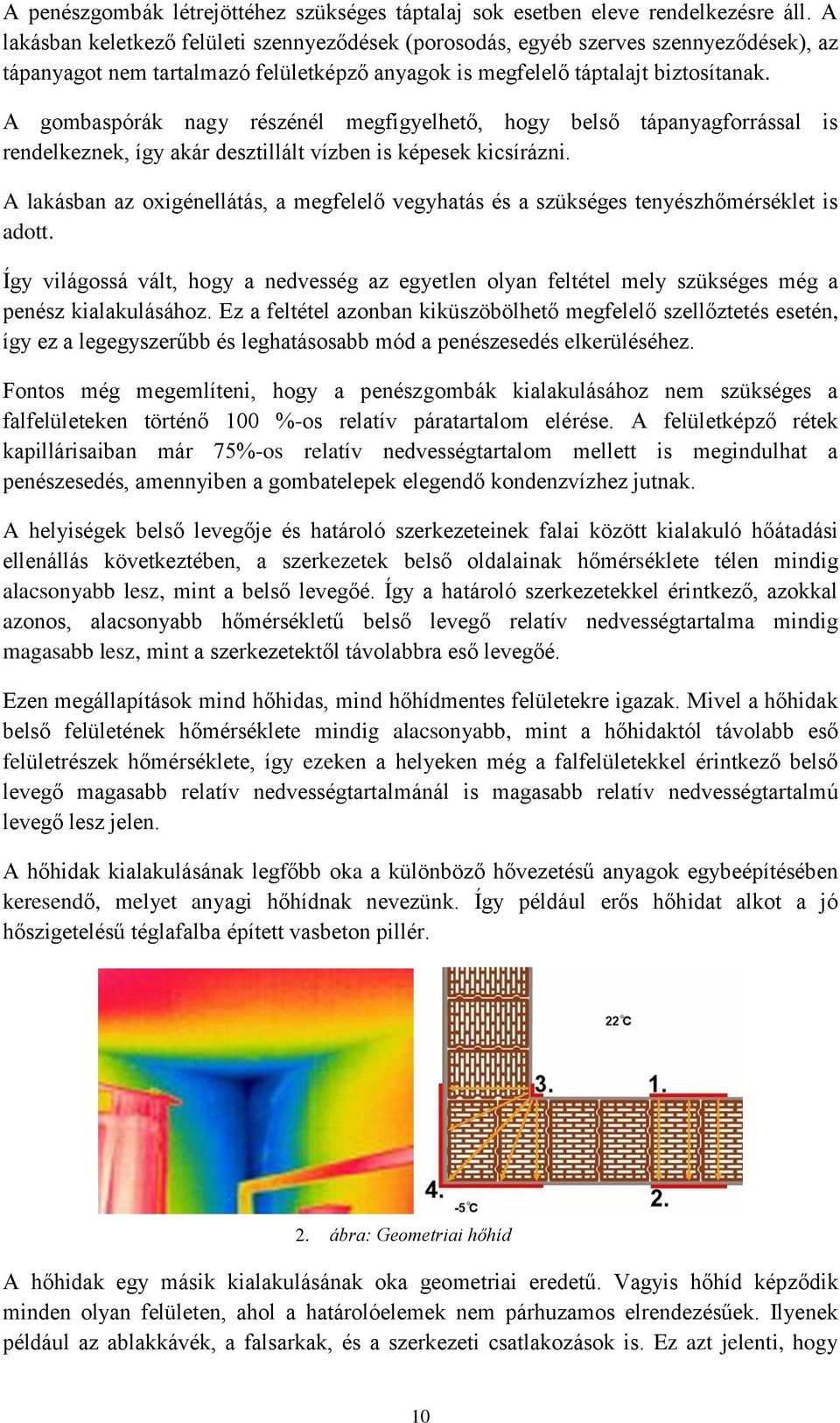 A gombaspórák nagy részénél megfigyelhető, hogy belső tápanyagforrással is rendelkeznek, így akár desztillált vízben is képesek kicsírázni.