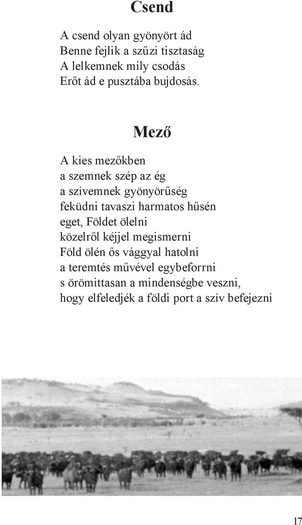 Mező A kies mezőkben a szemnek szép az ég a szívemnek gyönyörűség feküdni tavaszi harmatos hűsén