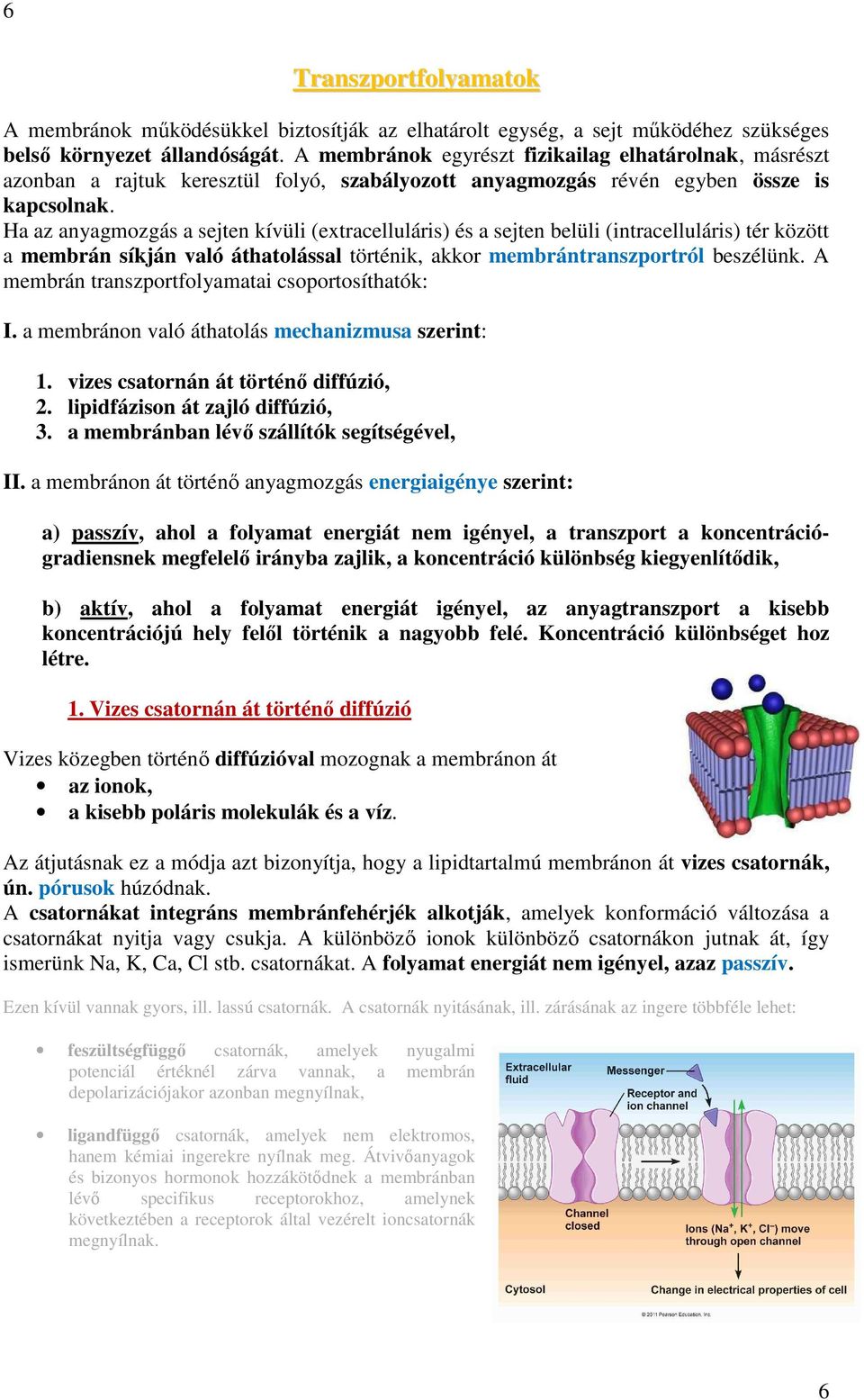 Ha az anyagmozgás a sejten kívüli (extracelluláris) és a sejten belüli (intracelluláris) tér között a membrán síkján való áthatolással történik, akkor membrántranszportról beszélünk.