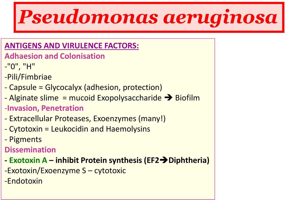 Penetration - Extracellular Proteases, Exoenzymes (many!