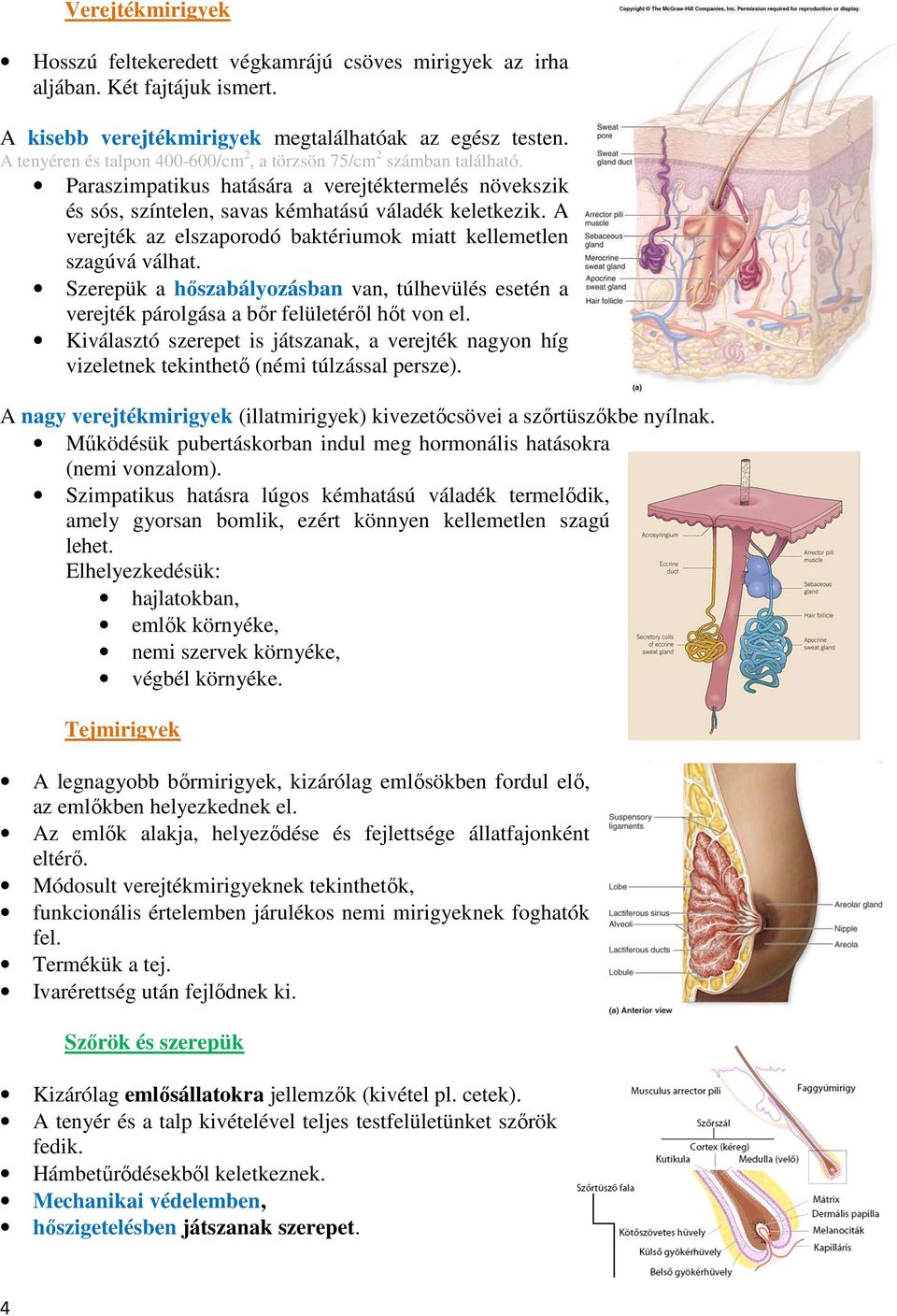 A gerinces állatokéhoz hasonlóan az emberi bőrt is három réteg építi fel: a  felhám, az irha és a bőralja. Felhám (epidermis) - PDF Ingyenes letöltés