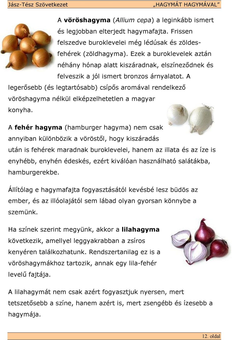 A legerısebb (és legtartósabb) csípıs aromával rendelkezı vöröshagyma nélkül elképzelhetetlen a magyar konyha.