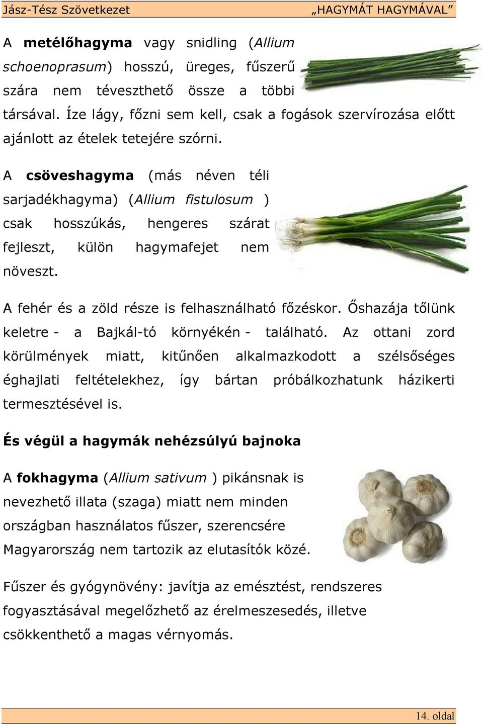 A csöveshagyma (más néven téli sarjadékhagyma) (Allium fistulosum ) csak hosszúkás, hengeres szárat fejleszt, külön hagymafejet nem növeszt. A fehér és a zöld része is felhasználható fızéskor.