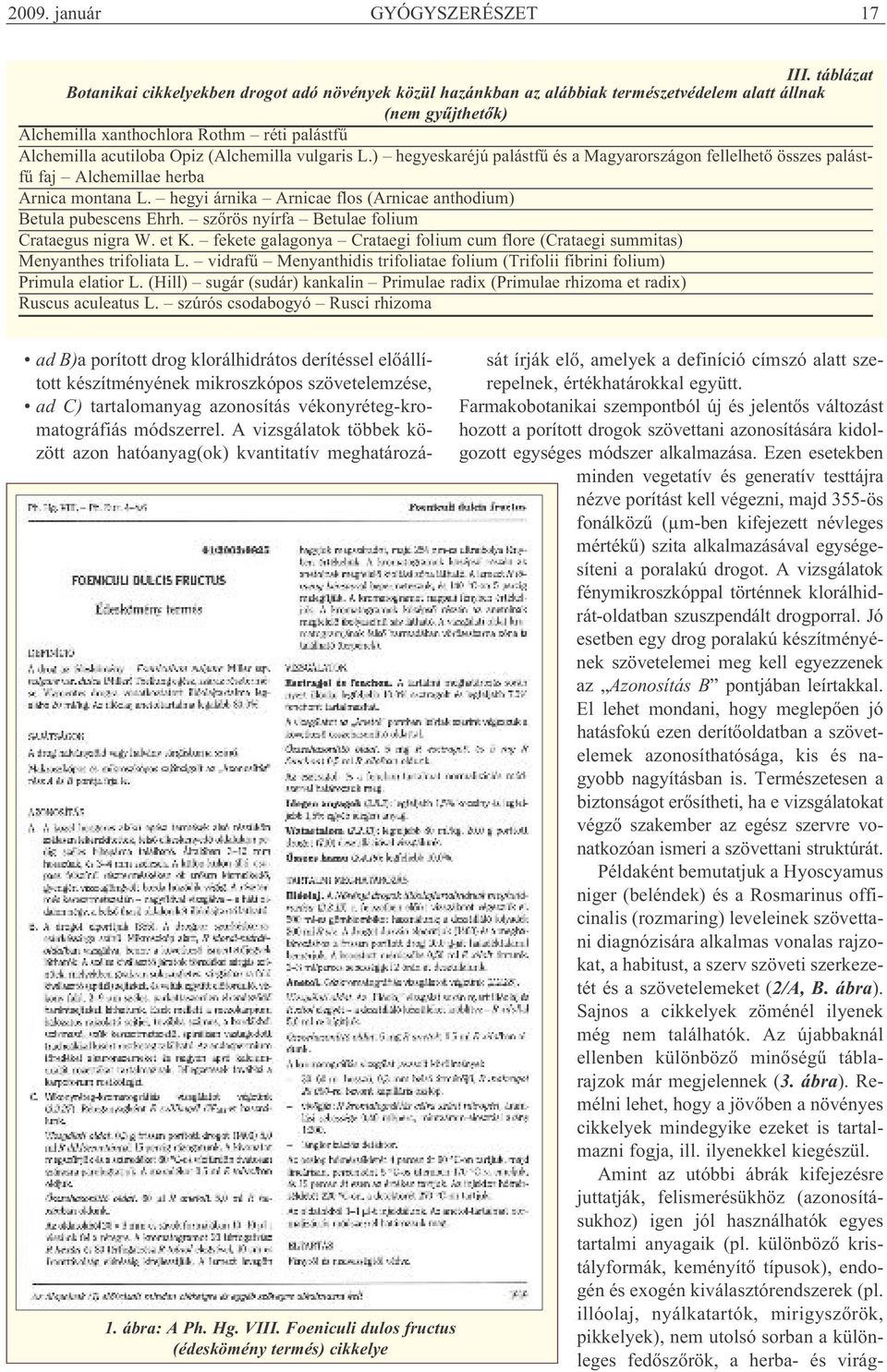 (Alchemilla vulgaris L.) hegyeskaréjú palástfű és a Magyarországon fellelhető összes palástfű faj Alchemillae herba Arnica montana L.