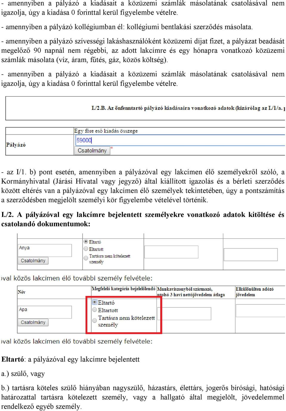 - amennyiben a pályázó szívességi lakáshasználóként közüzemi díjat fizet, a pályázat beadását megelőző 90 napnál nem régebbi, az adott lakcímre és egy hónapra vonatkozó közüzemi számlák másolata