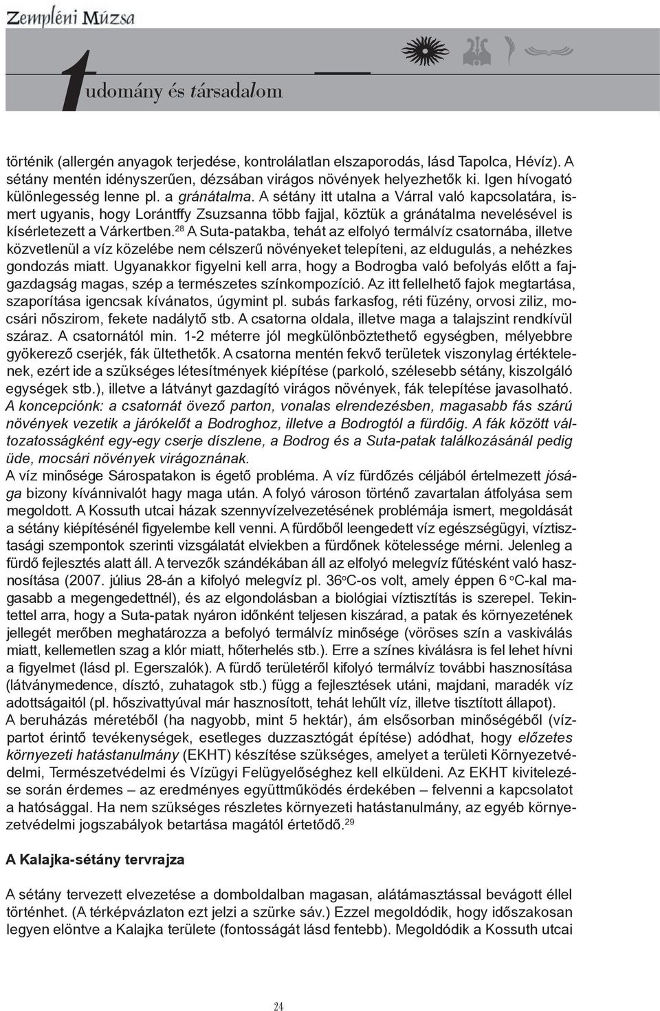 A sétány itt utalna a Várral való kapcsolatára, ismert ugyanis, hogy Lorántffy Zsuzsanna több fajjal, köztük a gránátalma nevelésével is kísérletezett a Várkertben.