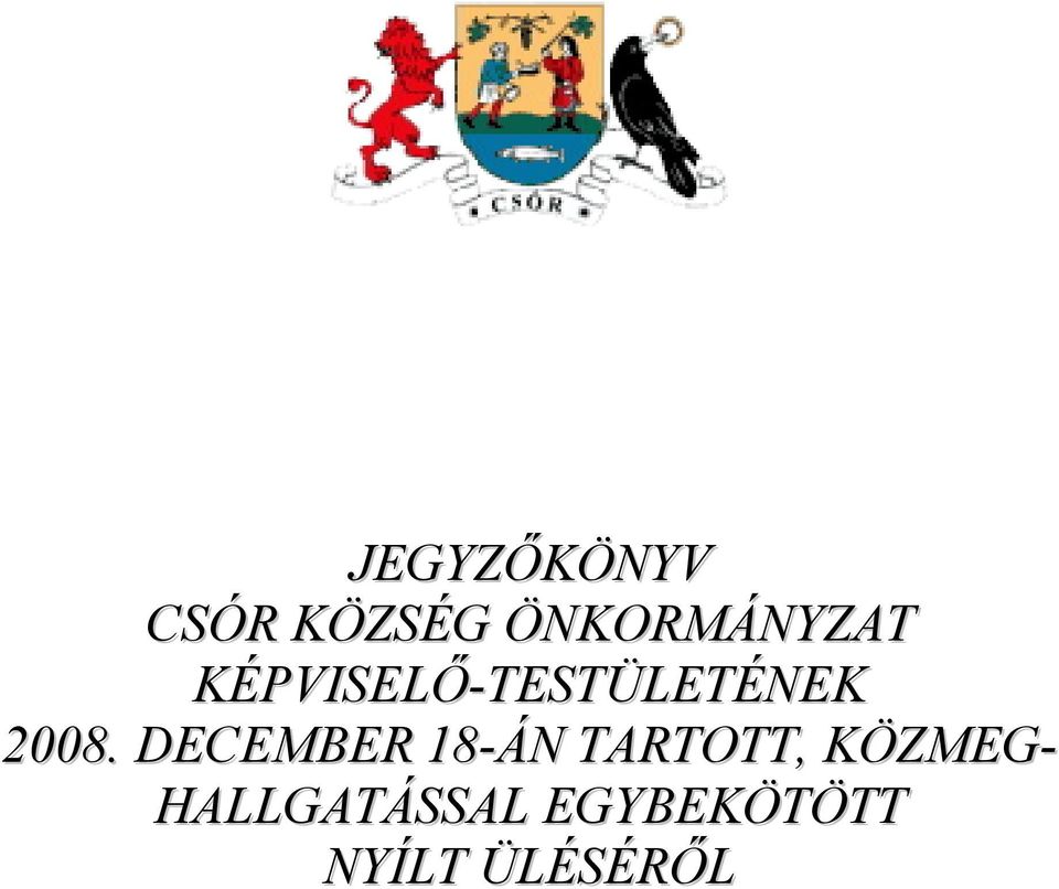 KÉPVISELŐ-TESTÜLETÉNEK 2008.