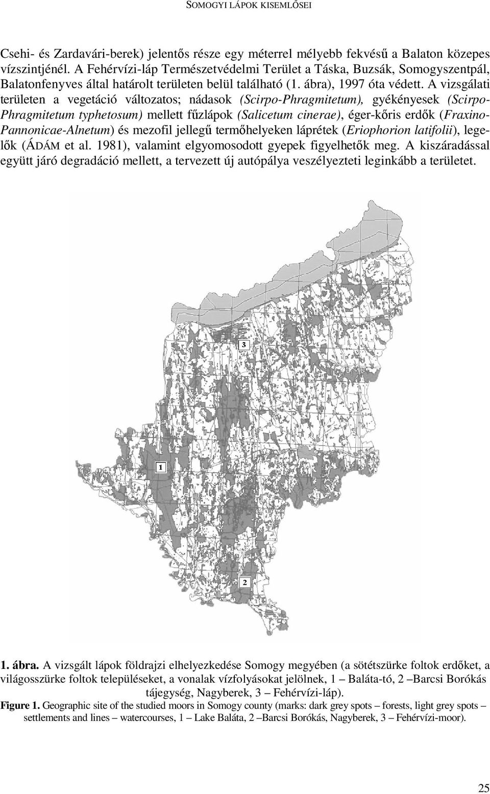 A vizsgálati területen a vegetáció változatos; nádasok (Scirpo-Phragmitetum), gyékényesek (Scirpo- Phragmitetum typhetosum) mellett főzlápok (Salicetum cinerae), éger-kıris erdık (Fraxino-