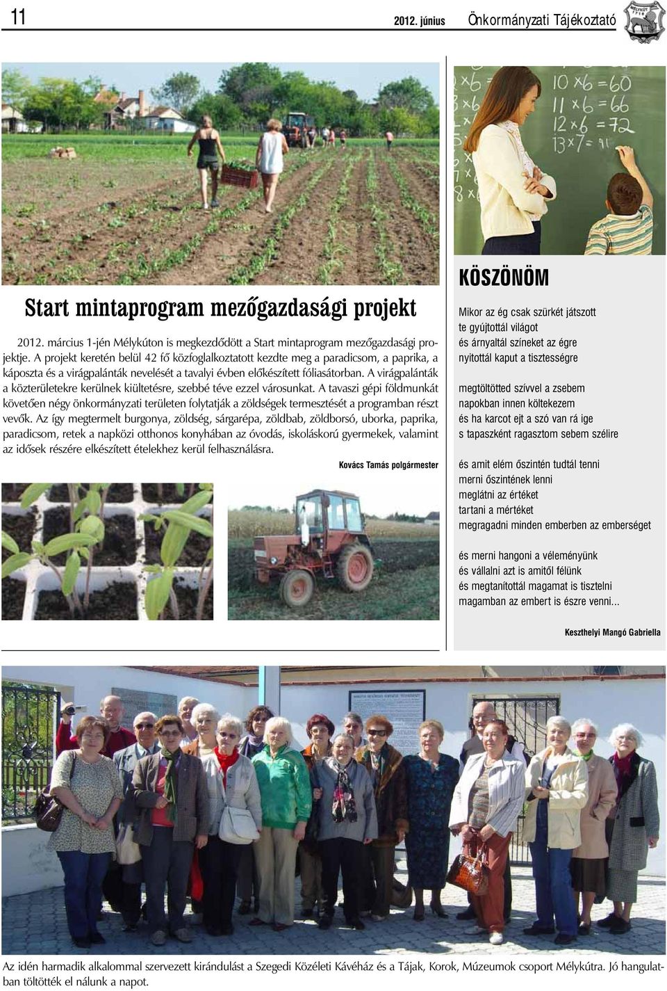 A virágpalánták a közterületekre kerülnek kiültetésre, szebbé téve ezzel városunkat.