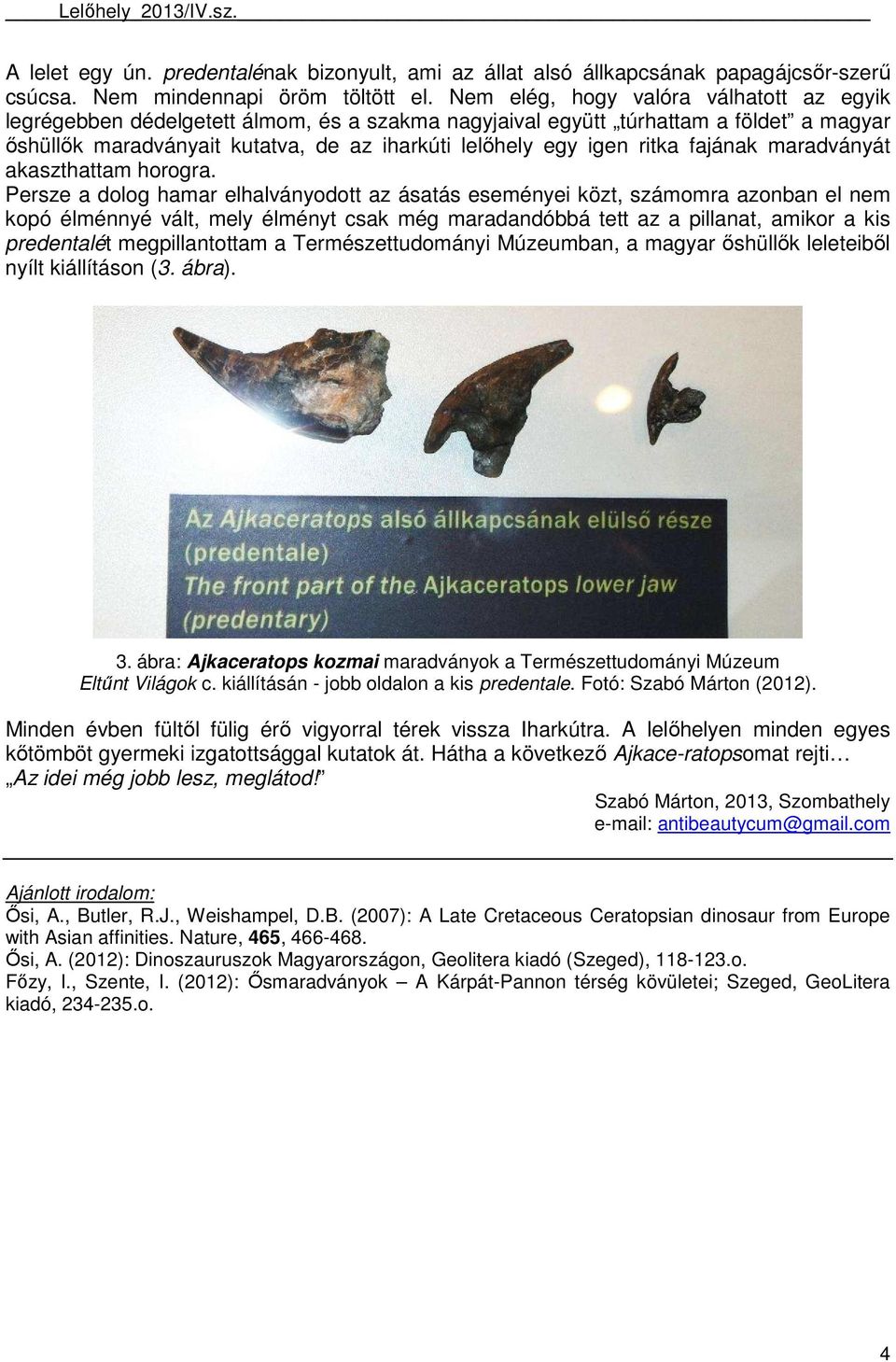 fajának maradványát akaszthattam horogra.