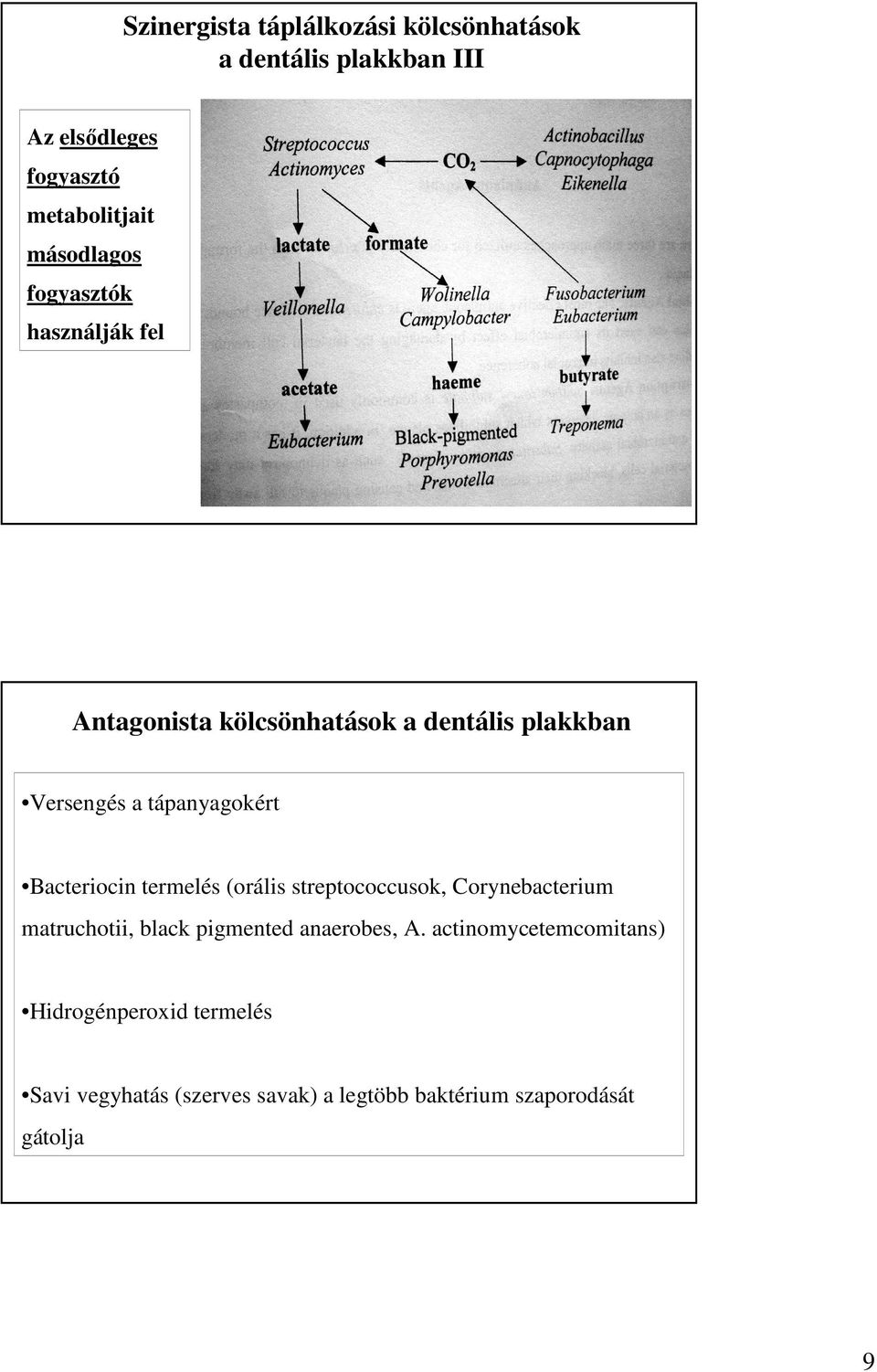 Bacteriocin termelés (orális streptococcusok, Corynebacterium matruchotii, black pigmented anaerobes, A.