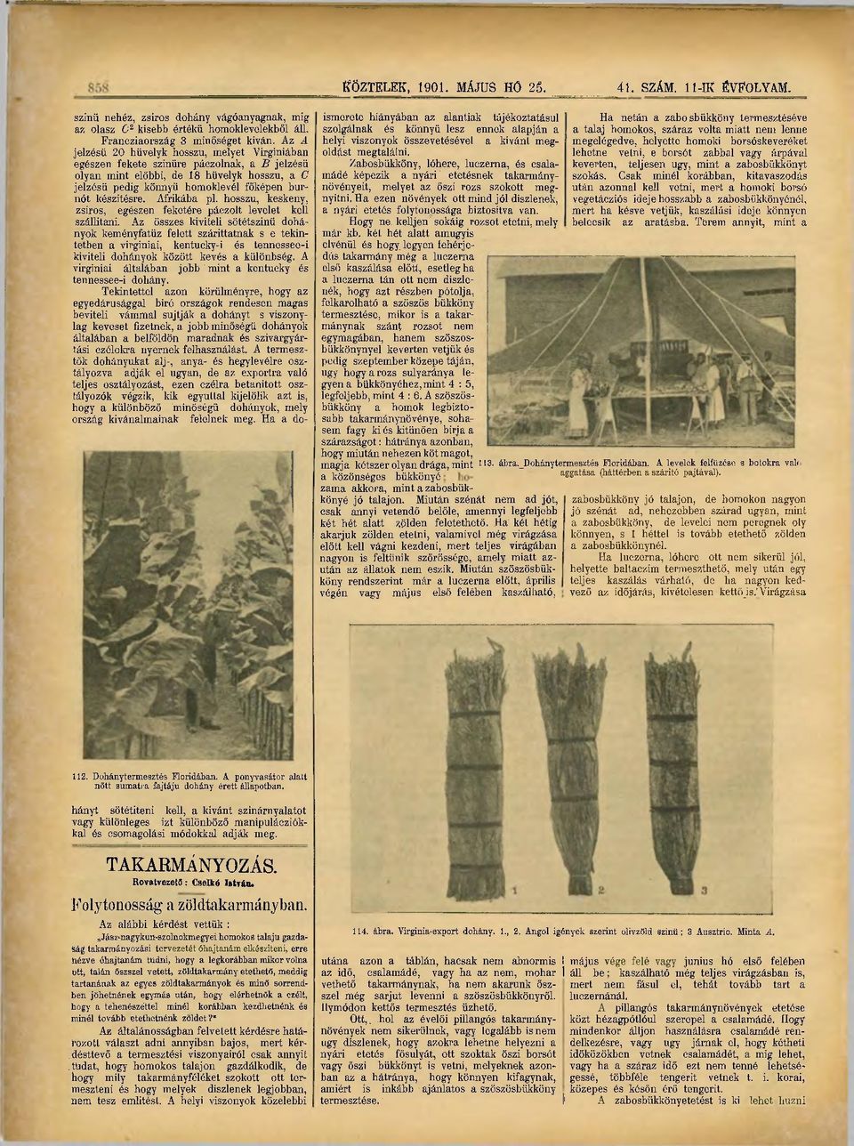 Afrikába pl. hosszú, keskeny, zsiros, egészen feketére, páczolt levelet kell szállítani.