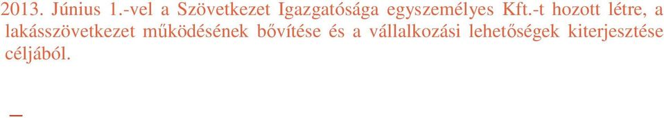 egyszemélyes Kft.