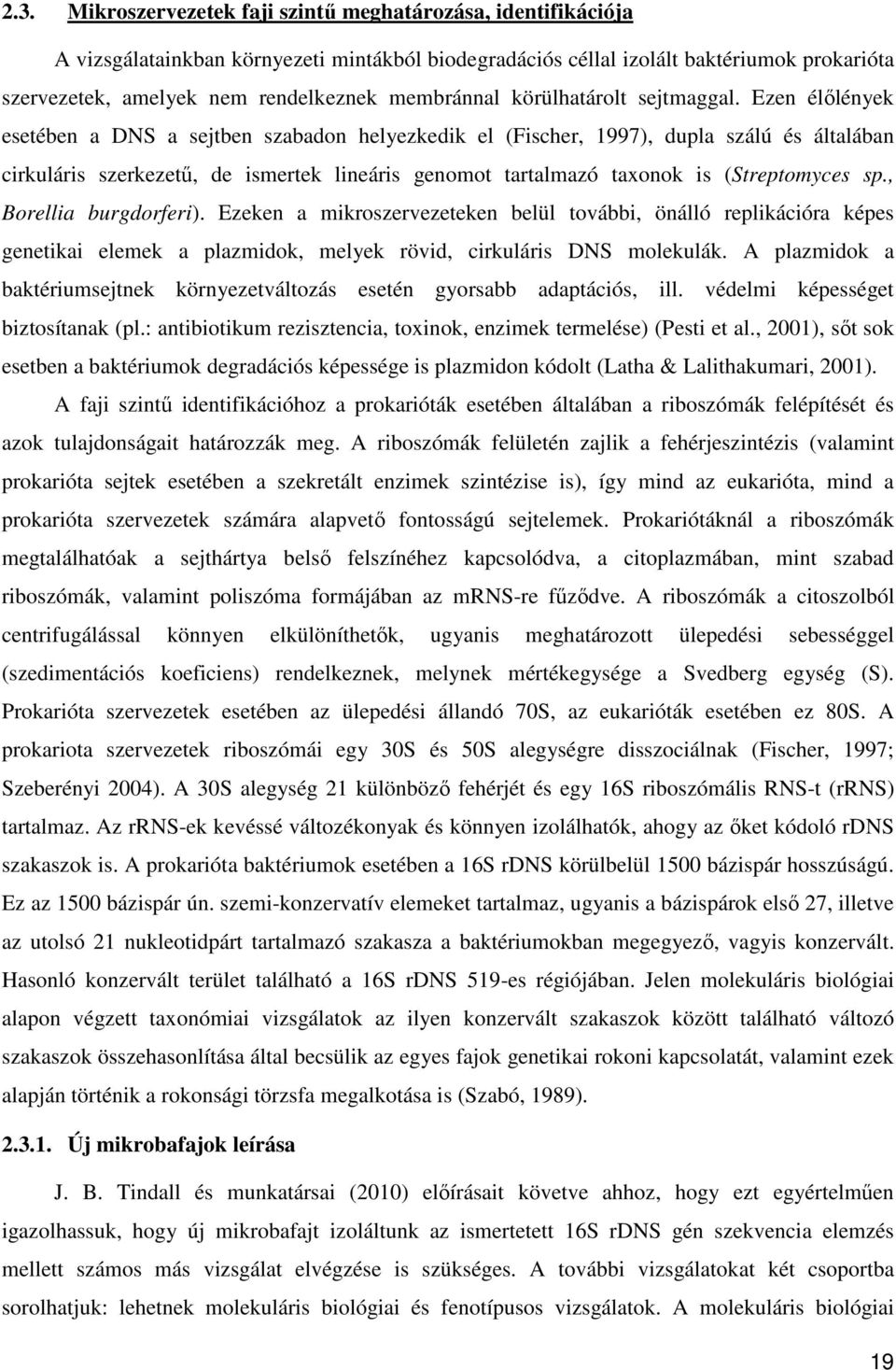 Ezen élőlények esetében a DNS a sejtben szabadon helyezkedik el (Fischer, 1997), dupla szálú és általában cirkuláris szerkezetű, de ismertek lineáris genomot tartalmazó taxonok is (Streptomyces sp.