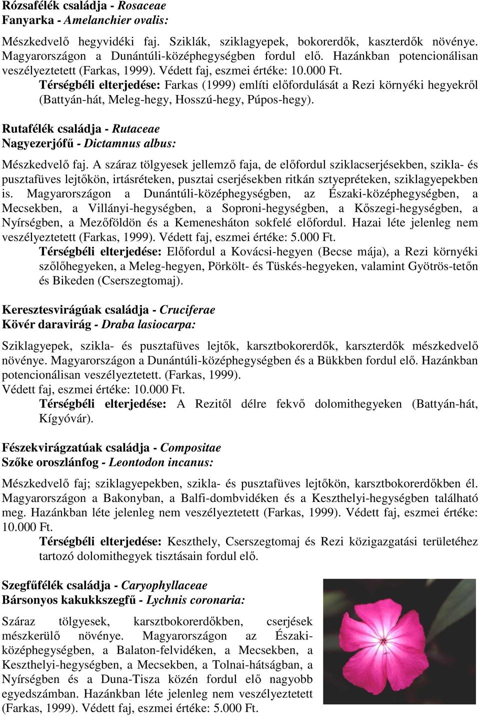 Rutafélék családja - Rutaceae Nagyezerjófő - Dictamnus albus: Mészkedvelı faj.