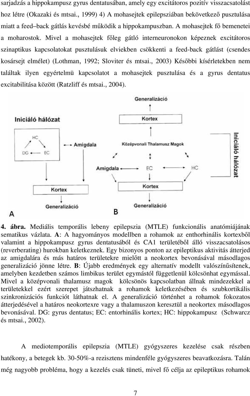 Mivel a mohasejtek fıleg gátló interneuronokon képeznek excitátoros szinaptikus kapcsolatokat pusztulásuk elviekben csökkenti a feed-back gátlást (csendes kosársejt elmélet) (Lothman, 1992; Sloviter