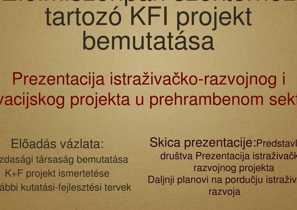 társaság bemutatása K+F projekt ismertetése bbi kutatási-fejlesztési tervek Skica