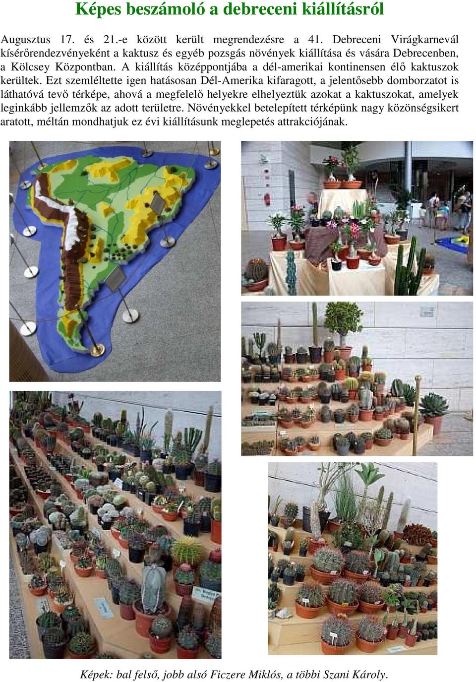 A kiállítás középpontjába a dél-amerikai kontinensen élı kaktuszok kerültek.