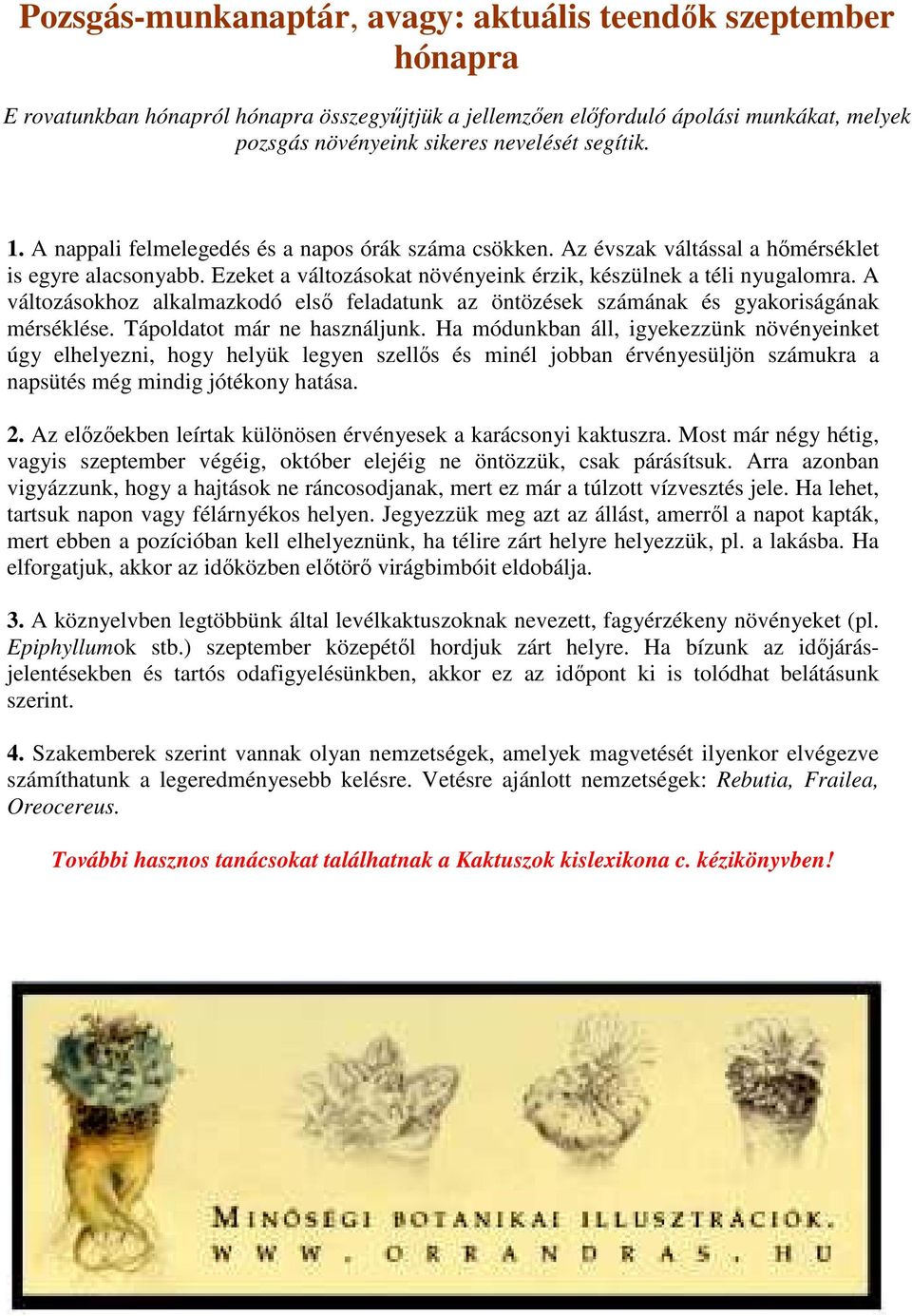 A változásokhoz alkalmazkodó elsı feladatunk az öntözések számának és gyakoriságának mérséklése. Tápoldatot már ne használjunk.