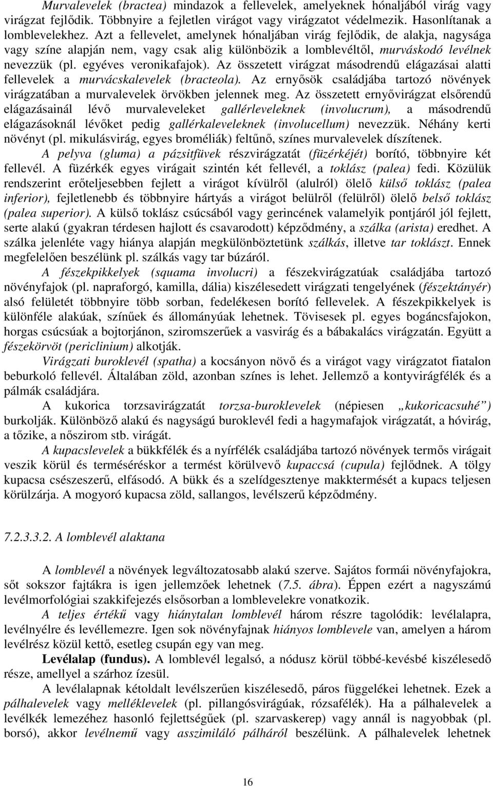 Az összetett virágzat másodrendő elágazásai alatti fellevelek a murvácskalevelek (bracteola). Az ernyısök családjába tartozó növények virágzatában a murvalevelek örvökben jelennek meg.