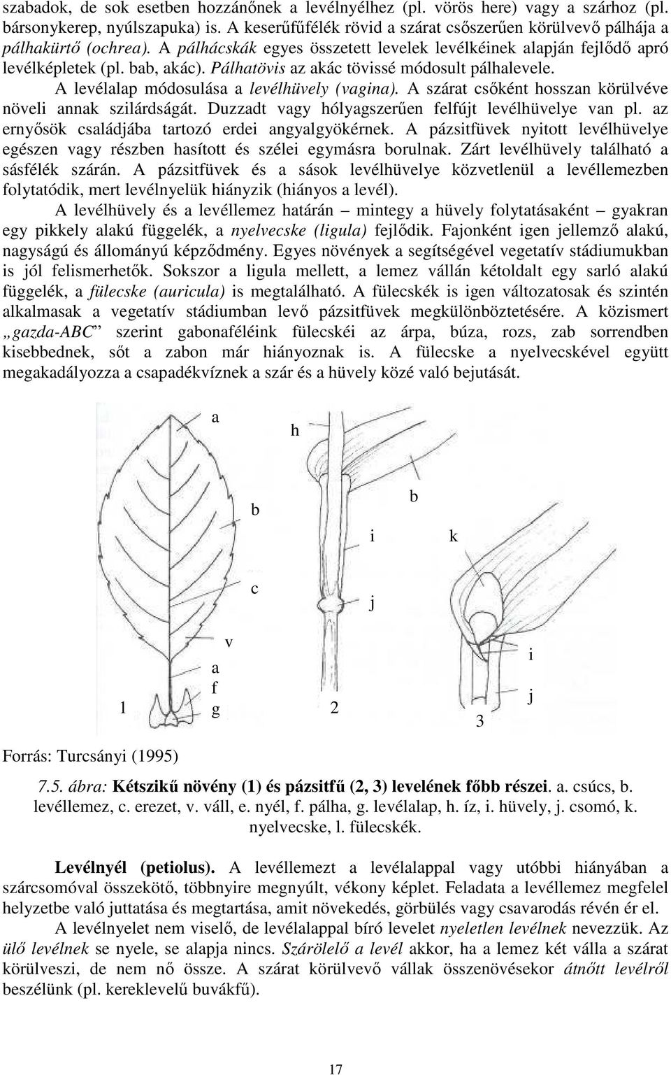 Pálhatövis az akác tövissé módosult pálhalevele. A levélalap módosulása a levélhüvely (vagina). A szárat csıként hosszan körülvéve növeli annak szilárdságát.